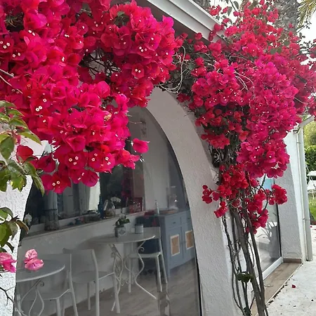 La Casa Di Nina *
