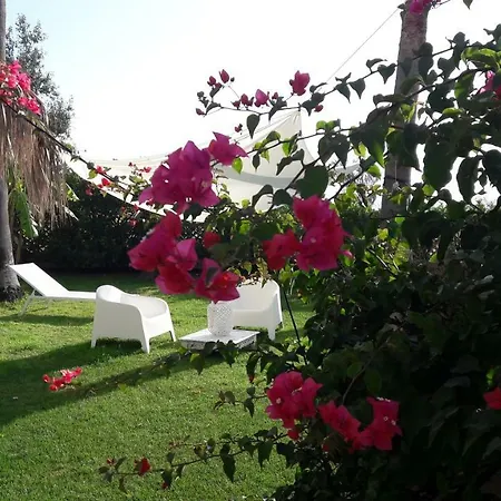 Bed and breakfast La Casa Di Nina La Maddalena (Cagliari)